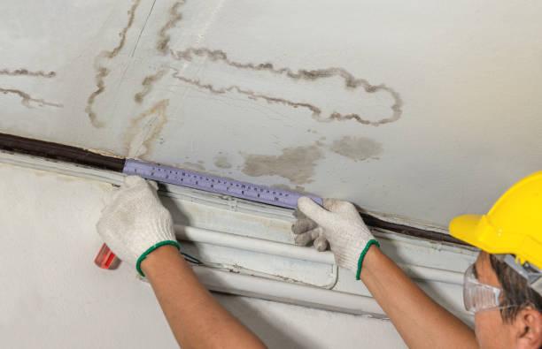 Reliable Mold Remediation contractor in La Center, WA by Water Damage Irwin